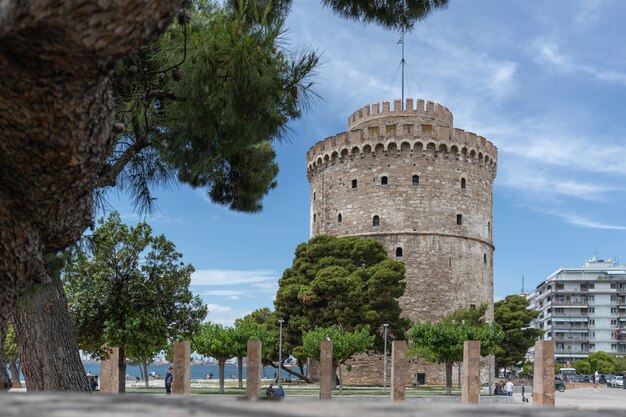 byzantine-heritage-white-tower-thessaloniki-with-trees-front-from-big-pine-tree_441873-220